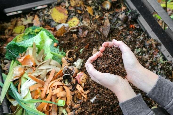 Mengolah Daun Kering, Pupuk Organik Ramah Lingkungan